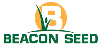 Beacon Seed Logo